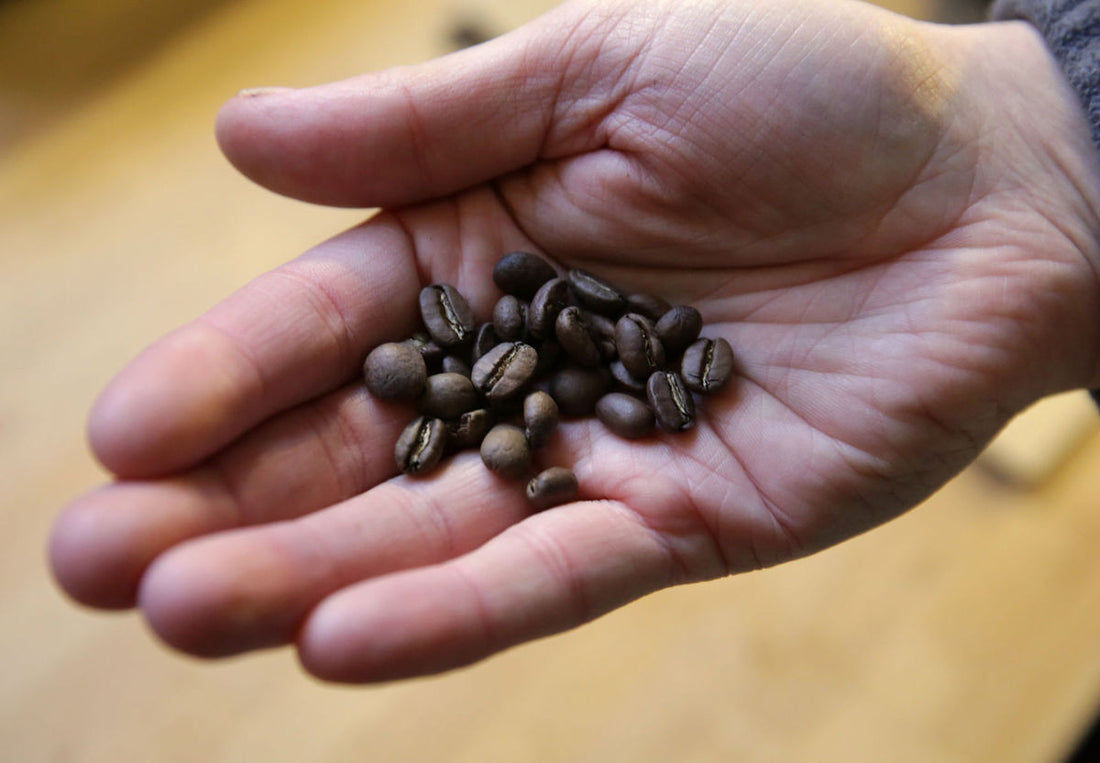 Coffee Linguistics 101