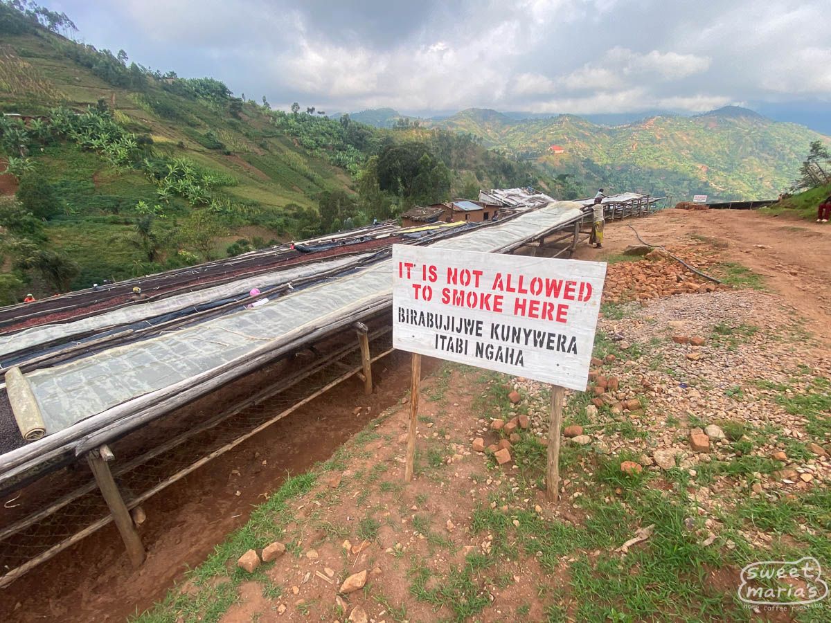 Burundi Dry Process Colline Kigina