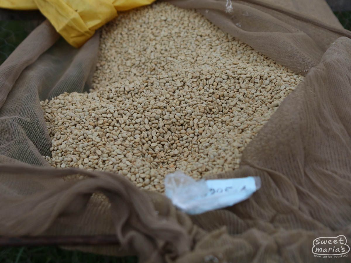 Burundi Kabarore Commune Yandaro