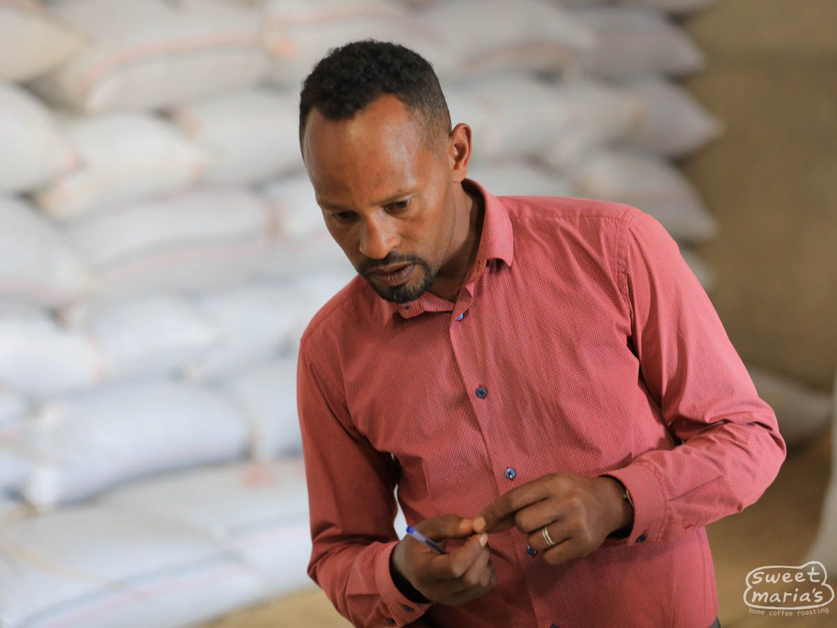 Ethiopia Shakiso Wesi