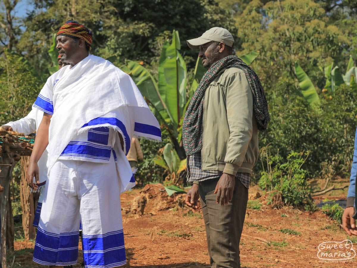 Ethiopia Dry Process Guji Tuku