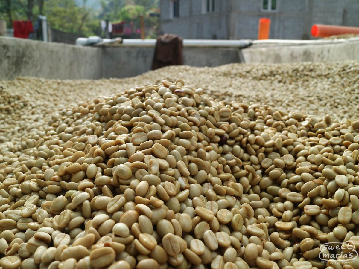 Guatemala Huehuetenango Boqueroncito