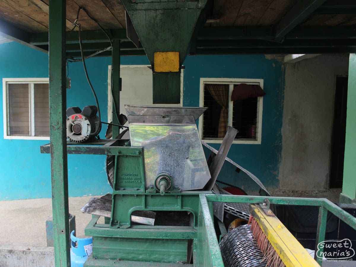 Honduras Honey Process Sara Chinchilla