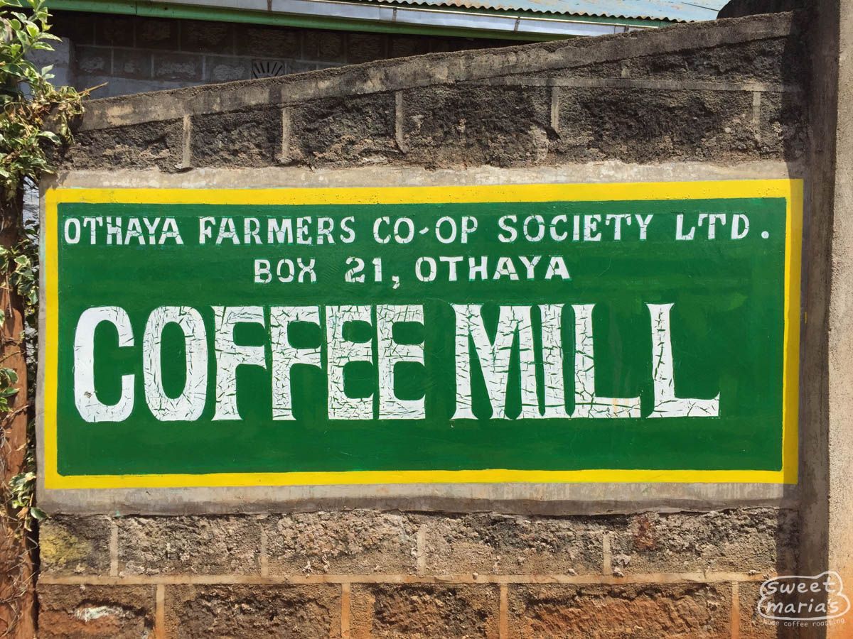 Kenya Nyeri Mahiga Peaberry