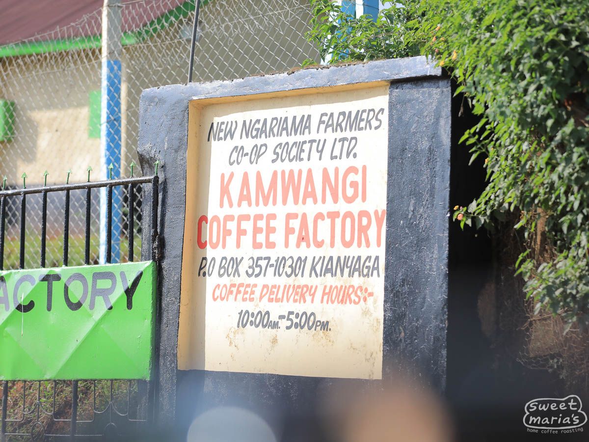 Kenya Kirinyaga Kamwangi Peaberry