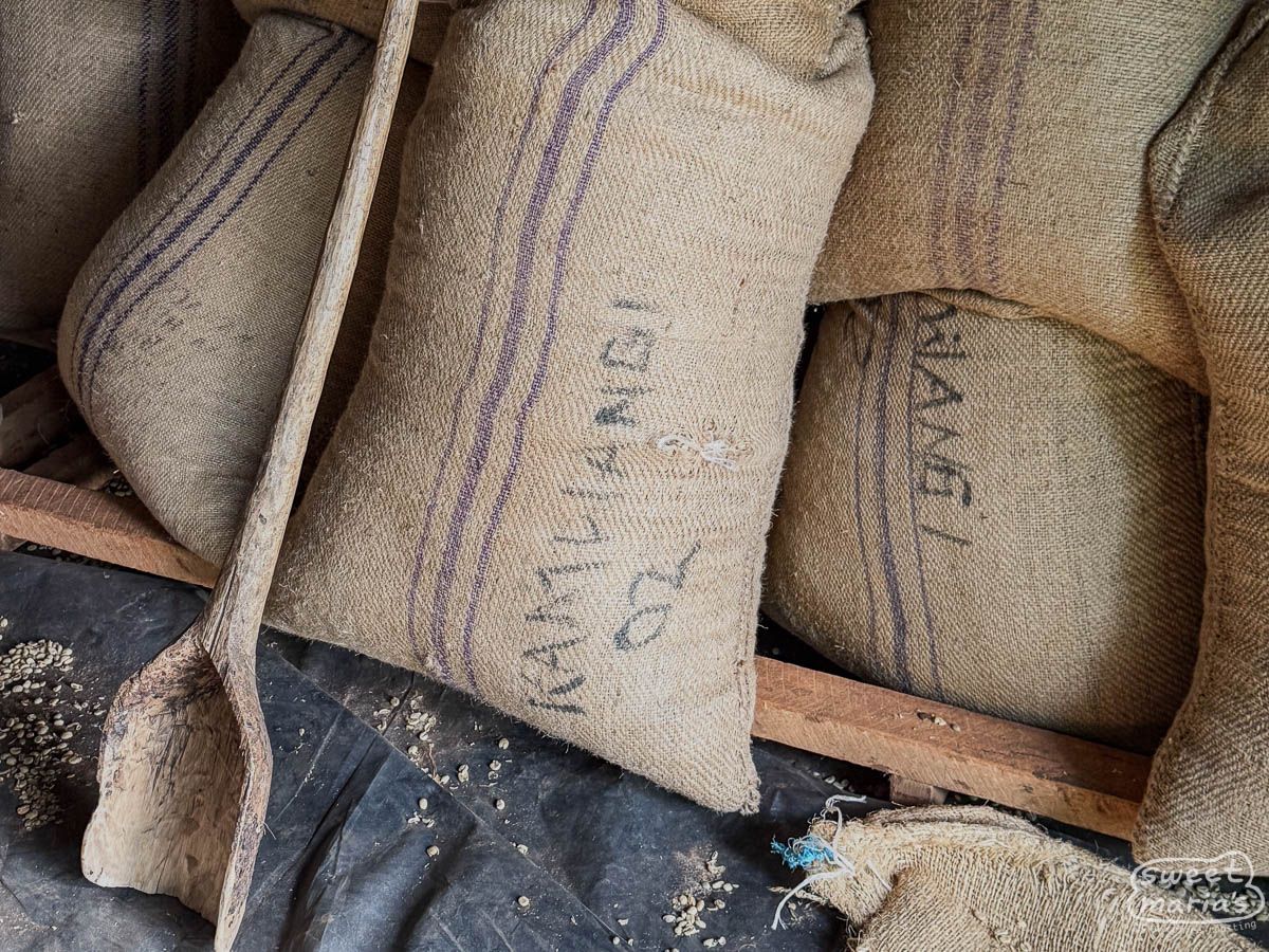 Kenya Kirinyaga Kamwangi Peaberry