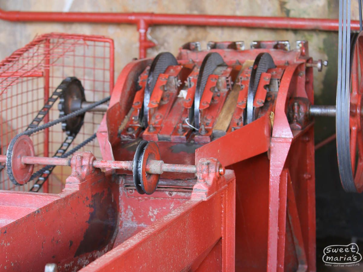 Kenya Nyeri Kamoini AA