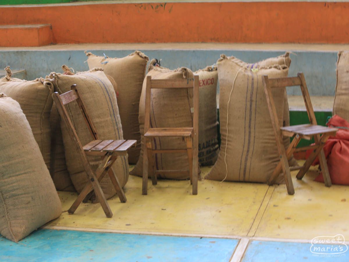 Mexico Organic Chiapas Los Nogales