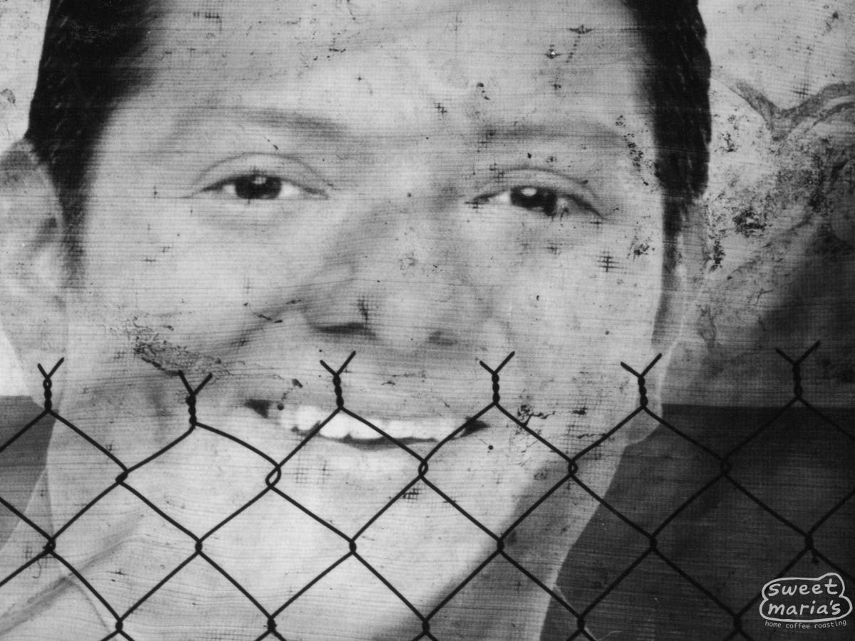 Mexico Organic Chiapas Los Nogales