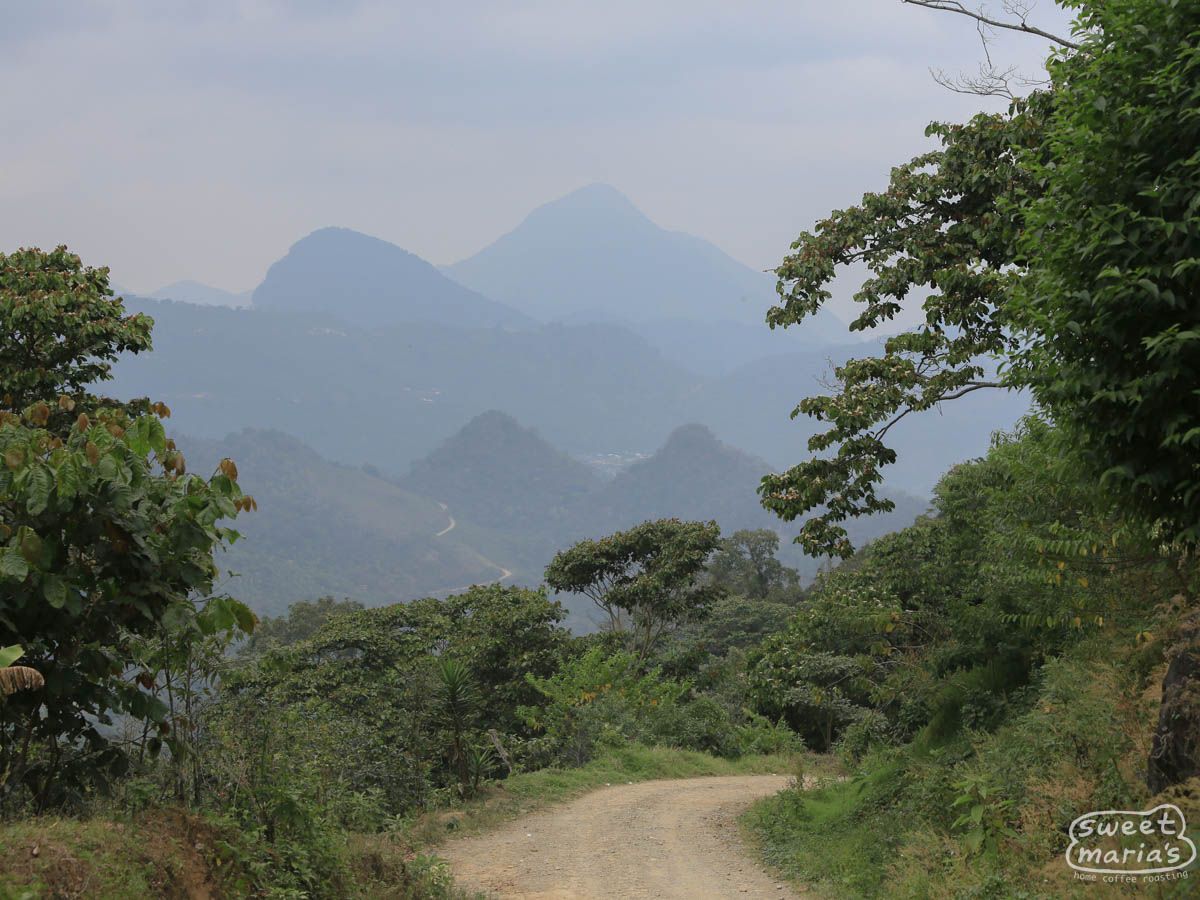 Mexico Organic Chiapas Los Nogales