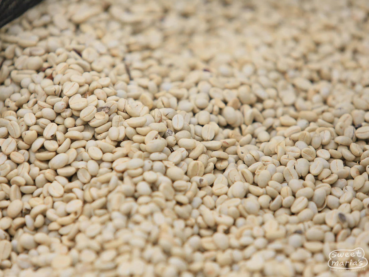 Rwanda Milles Collines Peaberry