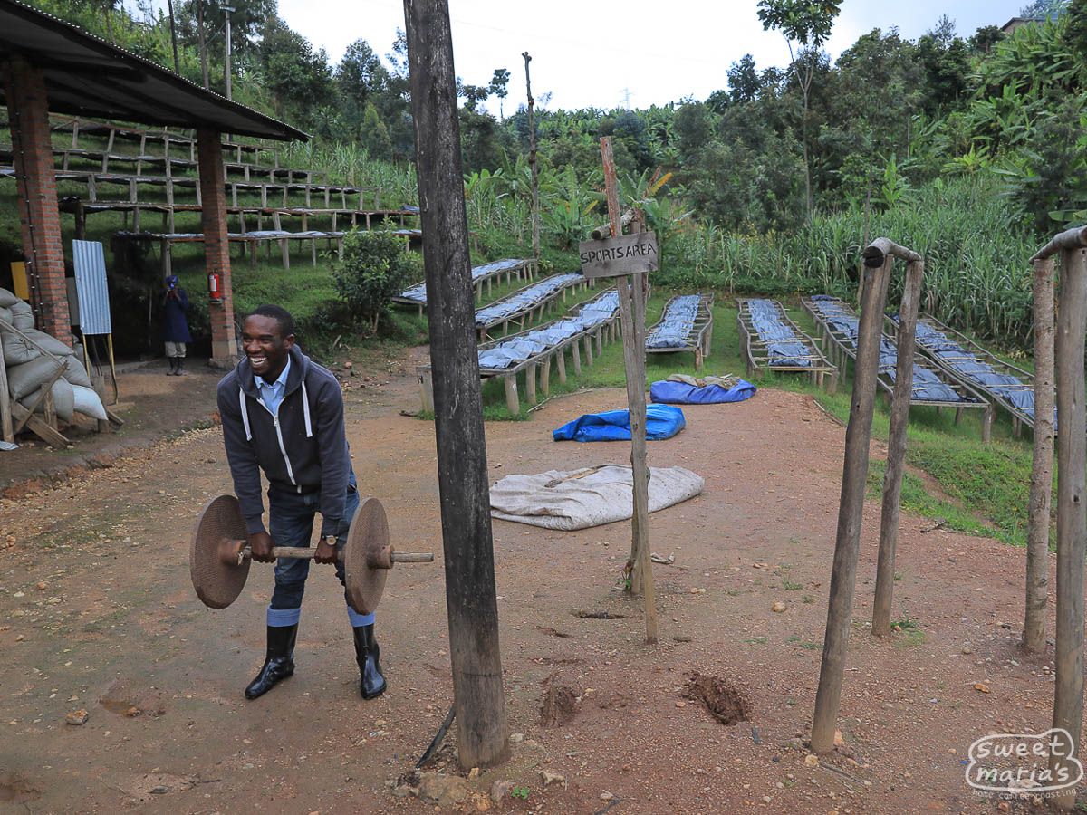 Rwanda Rutsiro Mushonyi