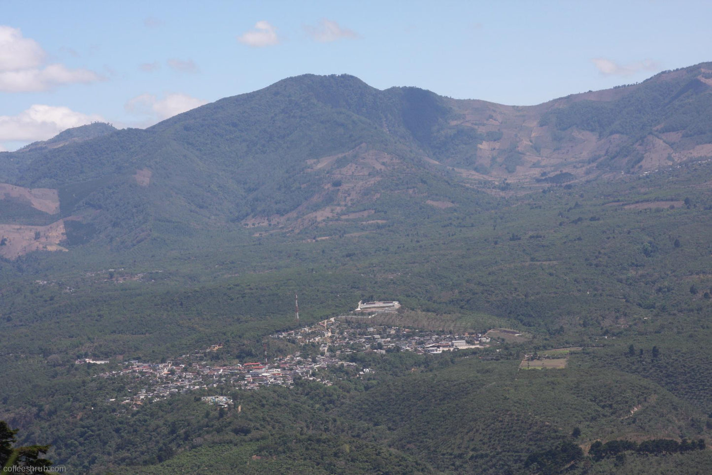 Guatemala Acatenango Finca San Diego Buena Vista