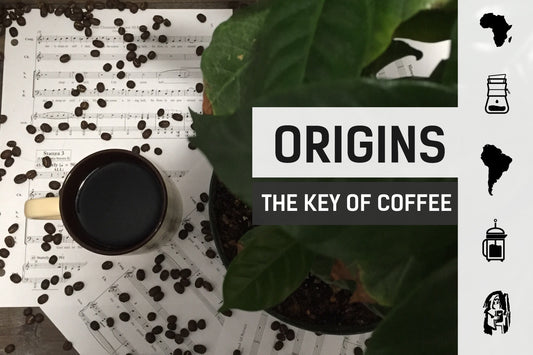Origins: The Key of Coffee