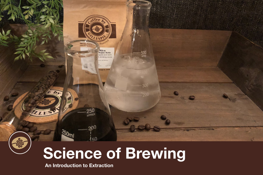 Science of Brewing: An Introduction to Extraction