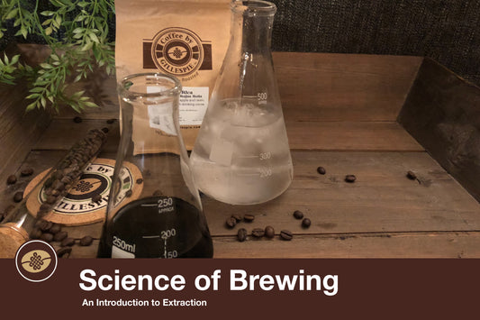 Science of Brewing: An Introduction to Extraction
