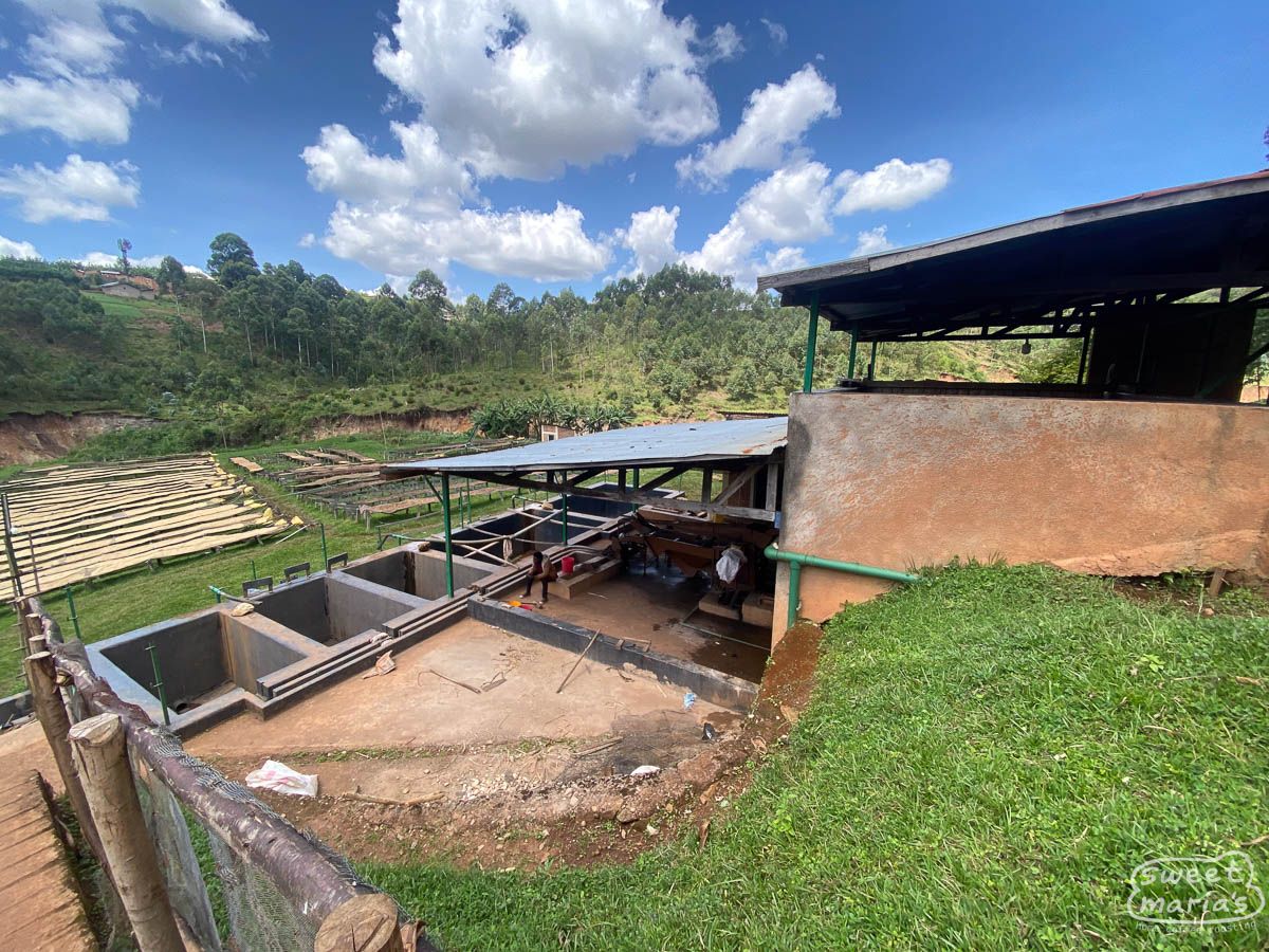 Burundi Dry Process Kibingo