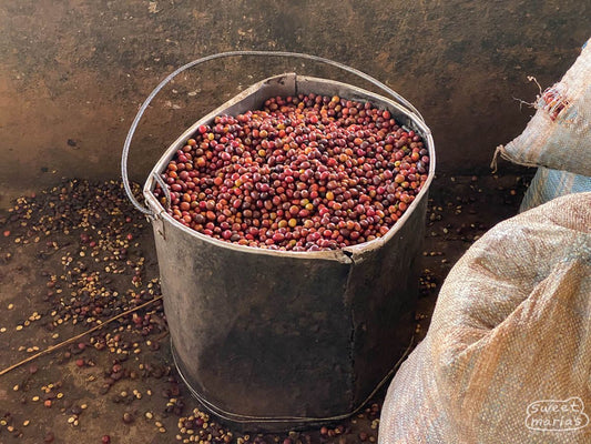 Burundi Kabarore Commune Yandaro