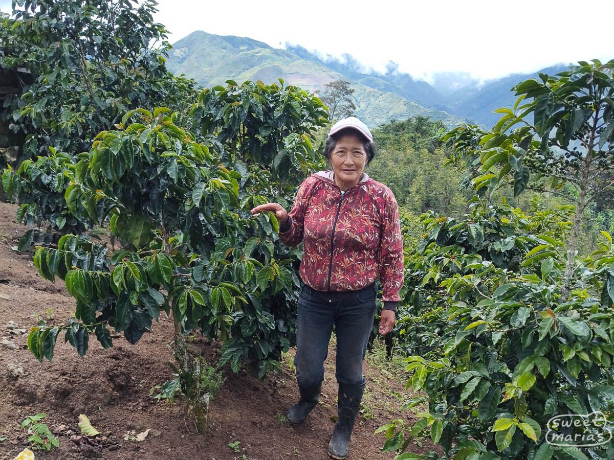 Photo of Colombia Honey Aponte Sonia Janamejoy