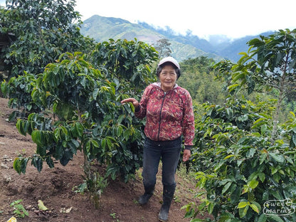 Colombia Honey Aponte Sonia Janamejoy