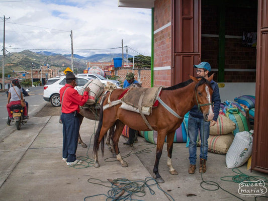 Colombia Buesaco Alianza Granjeros