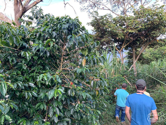 Colombia Inzá Vereda Belén