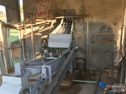 Ethiopia Honey Process Haro Wachu