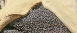 Ethiopia Dry Process Guji Buku