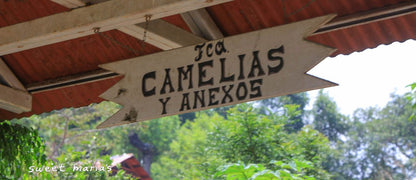 Guatemala Patzun Finca Las Camelias