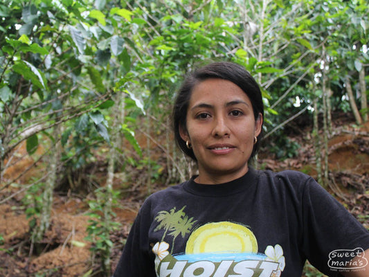 Honduras Honey Process Sara Chinchilla