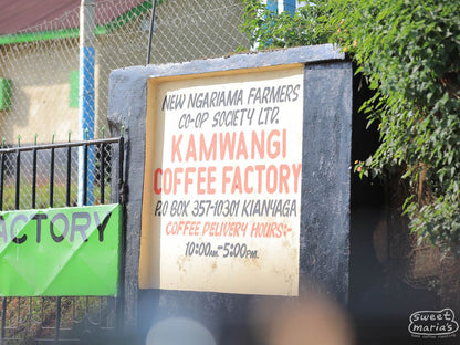 Kenya Kirinyaga Kamwangi Peaberry