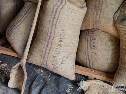 Kenya Kirinyaga Kamwangi Peaberry