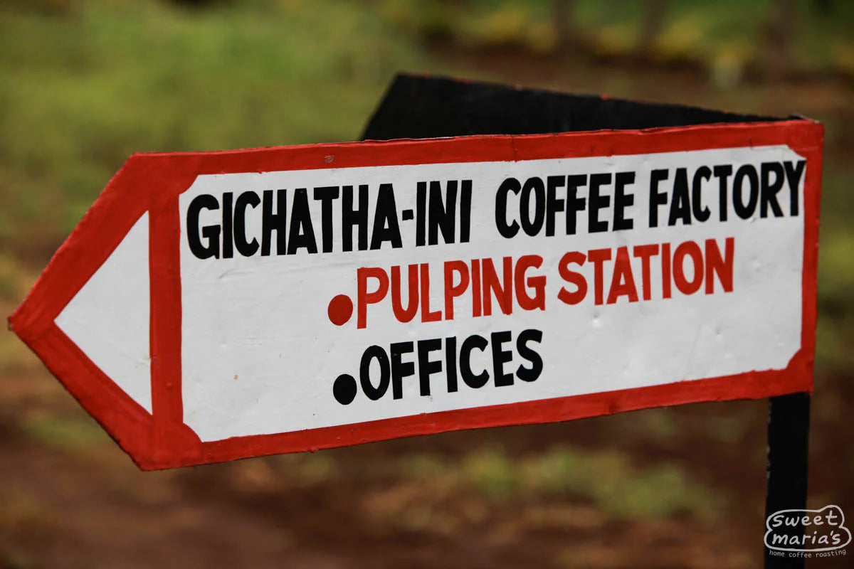 Photo of Kenya Nyeri Gichathaini AA