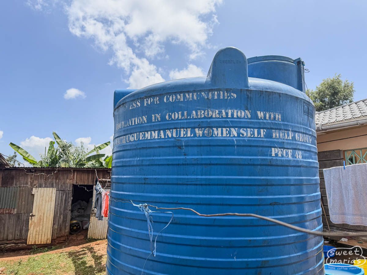 Kenya Kiambu Spike AB