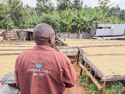 Kenya Kiambu Spike AB