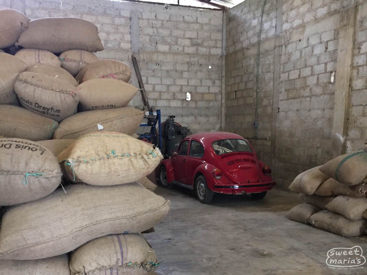 Mexico Organic Granjeros Chiapas WP Decaf