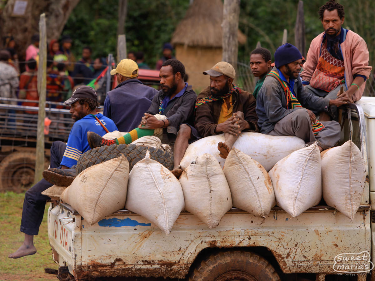 Photo of Papua New Guinea Organic Goroka SWP Decaf - 12 oz / Whole Bean