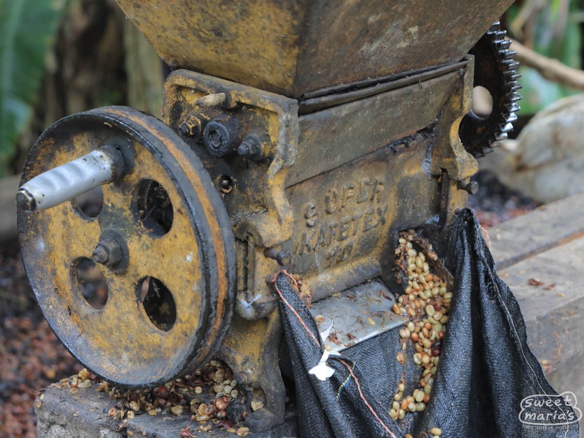 Photo of Peru FTO Chirinos Coop SWP Decaf