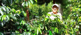 Peru Organic Martin Tiberio García
