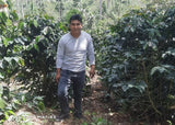 Peru Chanchamayo SWP Decaf