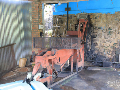 Rwanda Milles Collines Peaberry