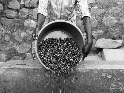 Rwanda Milles Collines SWP Decaf