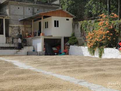 Guatemala Libertad Aurelio Del Cerro