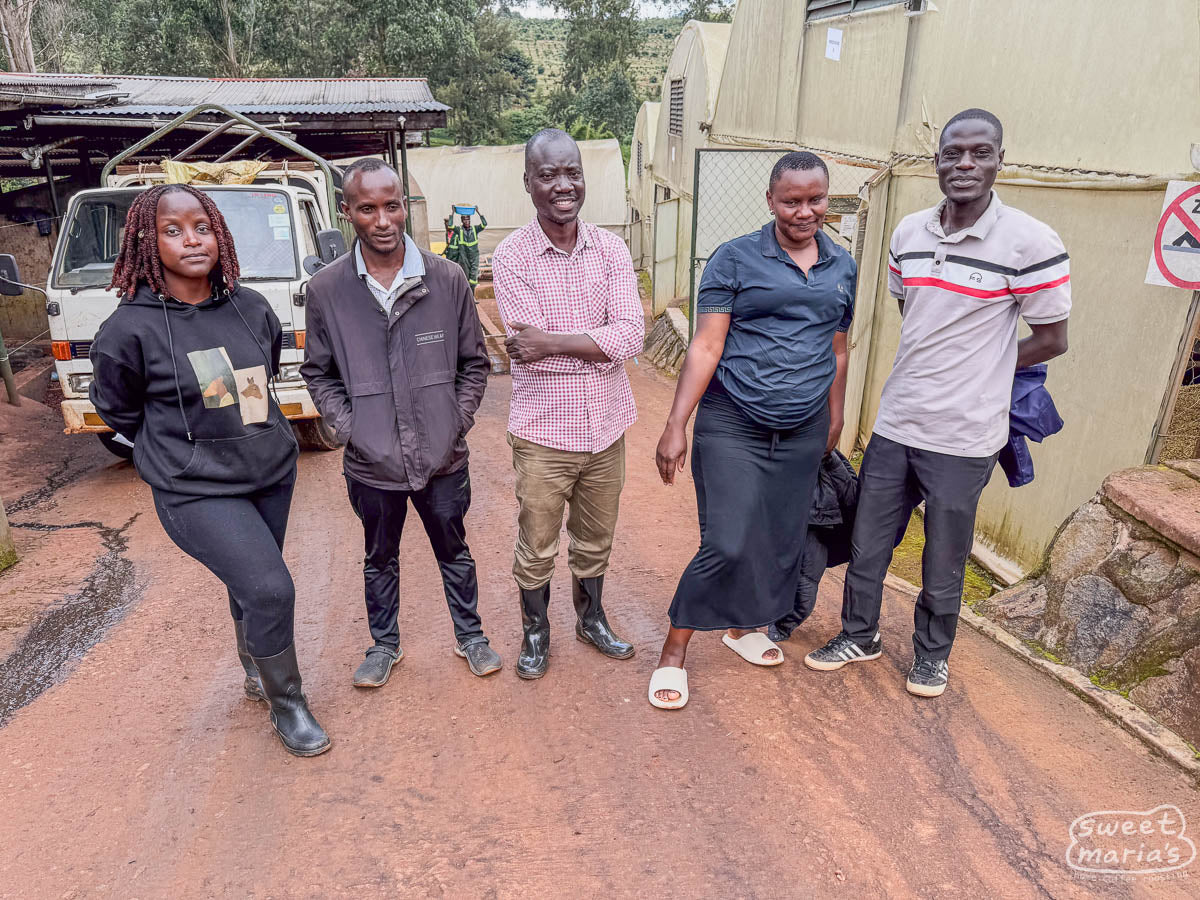 Uganda Gibuzale Buginyanya