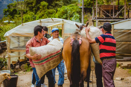 Colombia Natural Manos Juntas Micromill