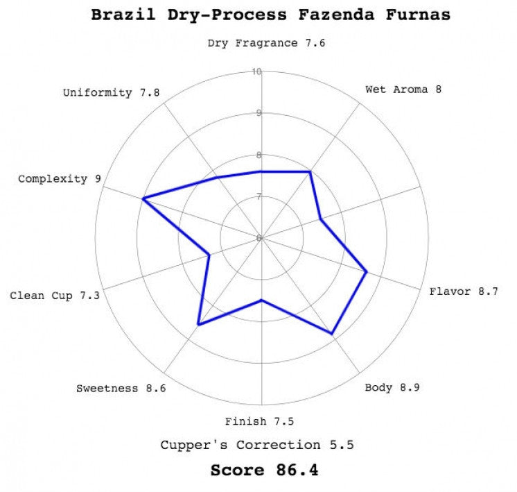 Brazil Dry Process Fazenda Furnas