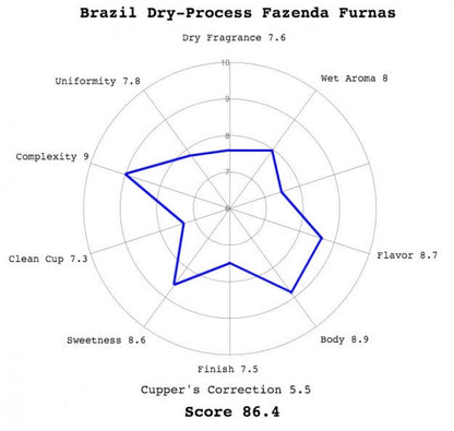 Brazil Dry Process Fazenda Furnas