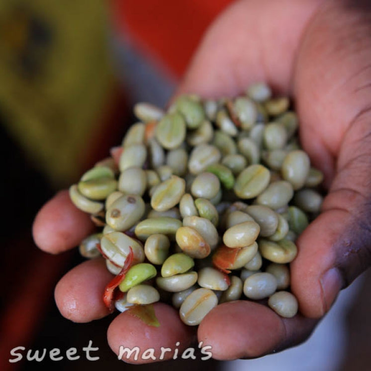 Rwanda Rulindo Cocatu Coop Lot 3