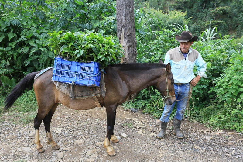 Guatemala Huehuetenango La Libertad