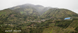 Colombia Honey Process Aponte